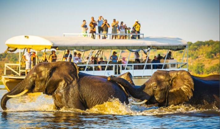 image of tourist enjoying their travels in Africa