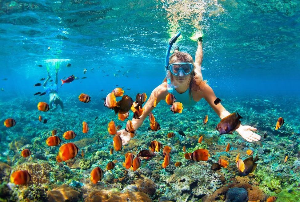 Best Places for Scuba Diving and Snorkeling,,