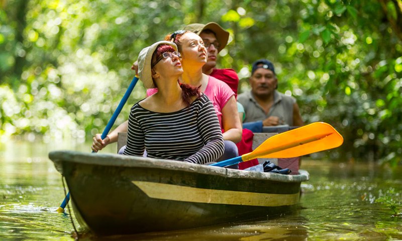 How to Travel Green: Eco-Friendly Tips and Destinations