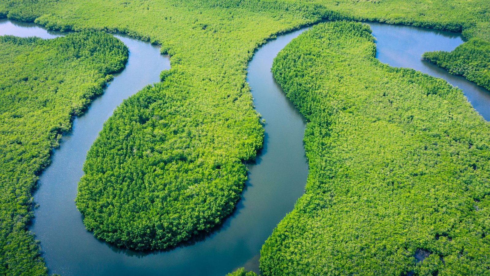 The Amazon River, South America-one of the River Cruises to Take